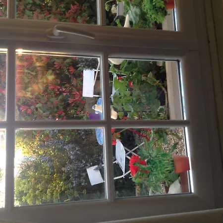 Coeur De Jardin